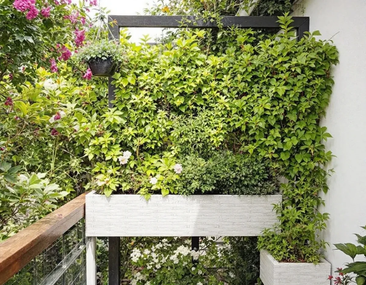 Le Noyer : Joyau Paysager pour Transformer votre Jardin en Oasis Luxuriante